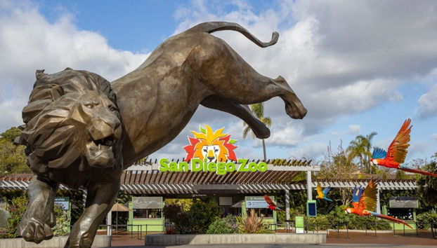 San Diego Zoo Tickets - Foto 2