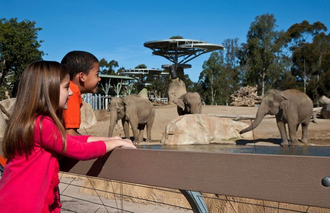 Billet pour le Zoo de San Diego - Photo 2