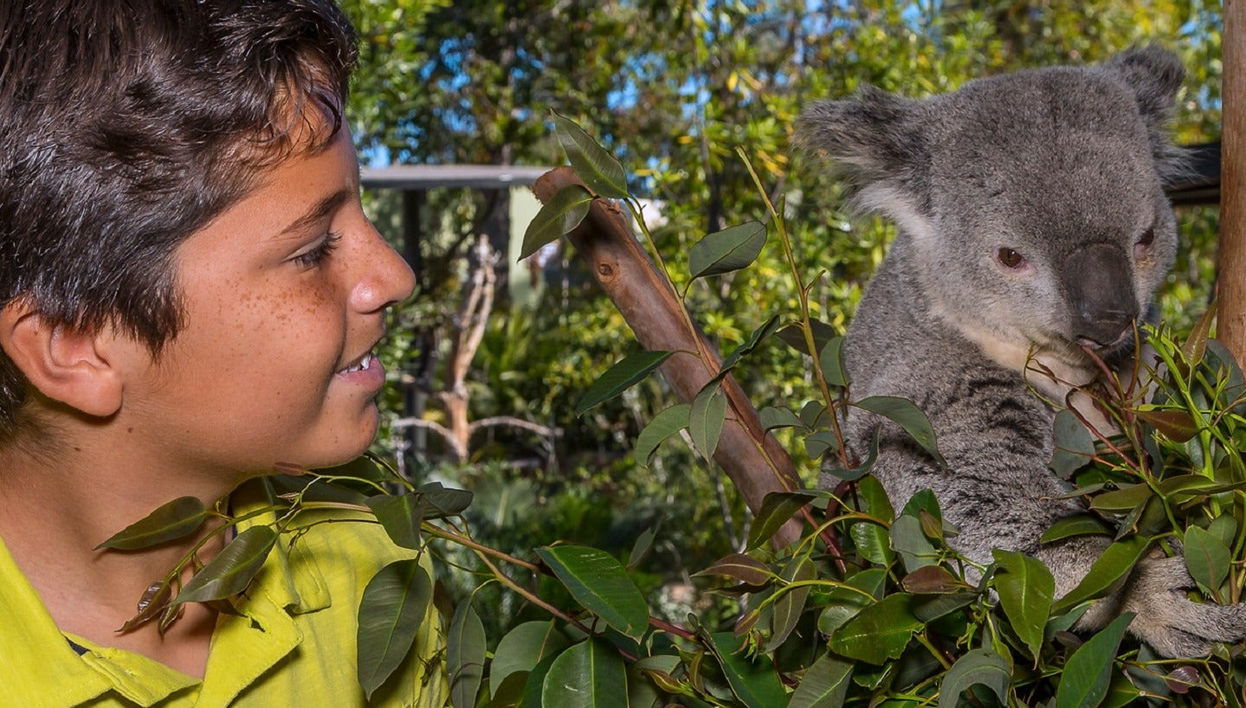 San Diego Zoo Tickets - Foto 1