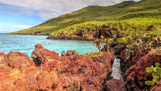 5-Day West Galapagos Islands Cruise - Foto 3