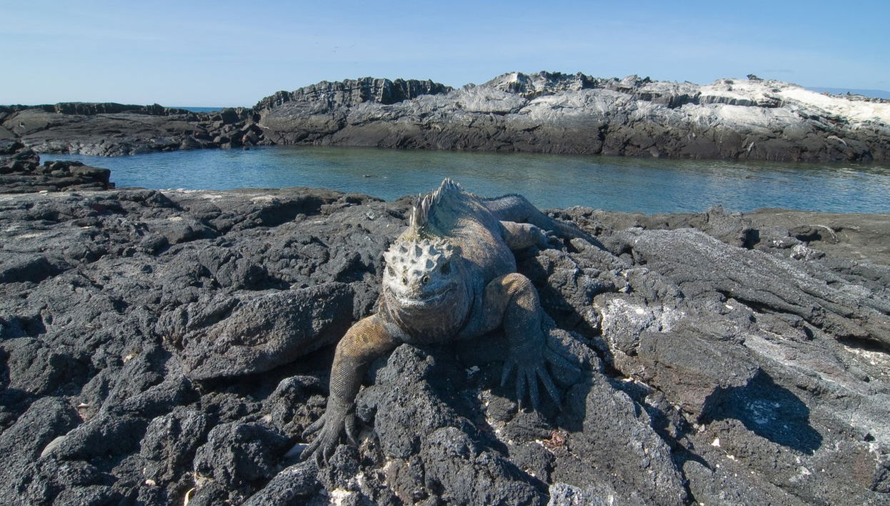5-Day West Galapagos Islands Cruise - Foto 1