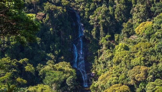 Free tour en 4x4 dans le parc national de Tijuca - Photo 3
