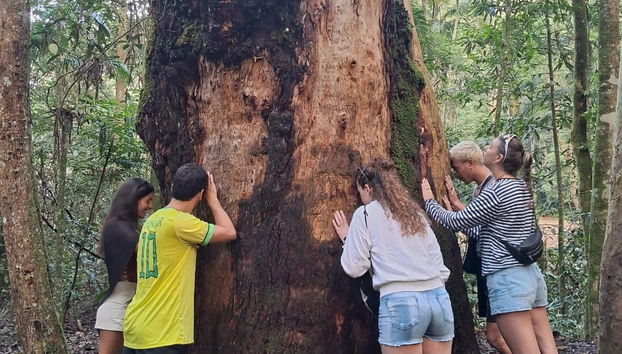 Free tour en 4x4 dans le parc national de Tijuca - Photo 5
