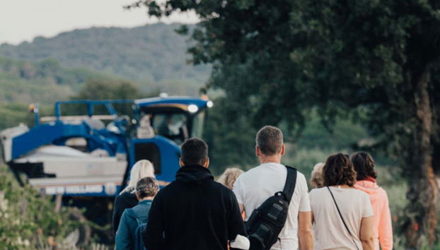 Private Saint-Tropéz Wineries Tour + Tasting - Photo 4
