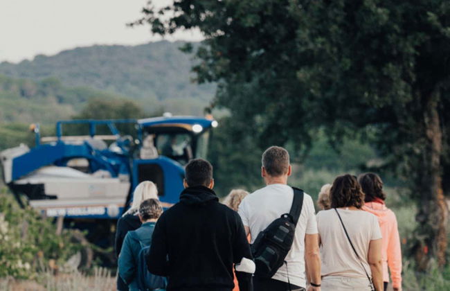 Private Saint-Tropéz Wineries Tour + Tasting - Photo 4