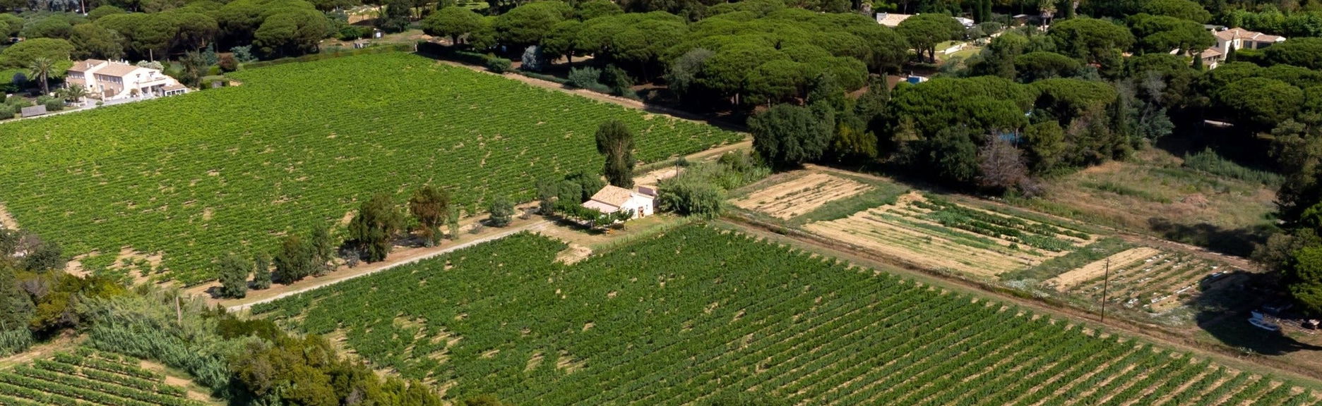 Private Saint-Tropéz Wineries Tour + Tasting - Foto 1