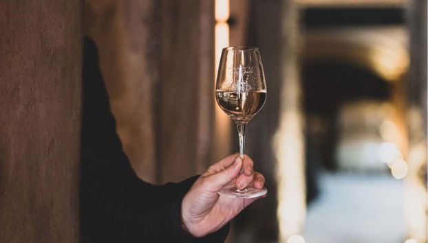 Private Saint-Tropéz Wineries Tour + Tasting - Photo 5