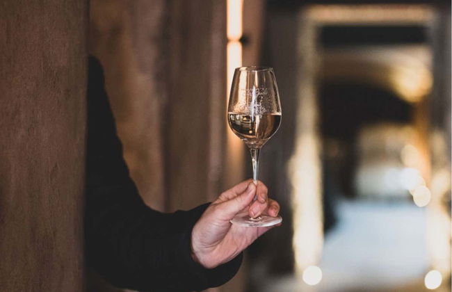 Private Saint-Tropéz Wineries Tour + Tasting - Photo 5