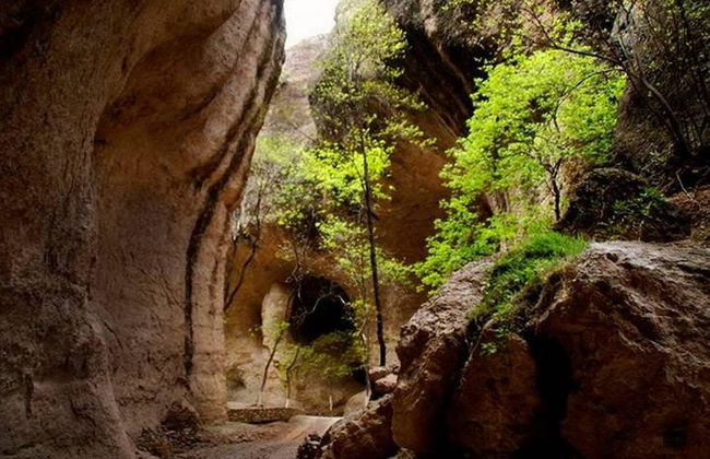 Excursión al Cañón de Namúrachi - Foto 5