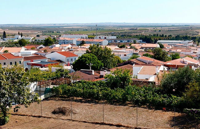 Visita a la bodega Casa das Talhas - Foto 3
