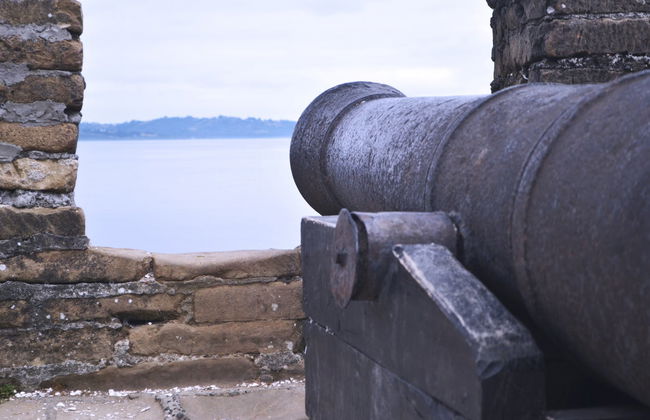 Ancud Free Tour - Foto 6