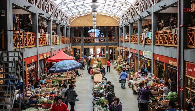 Free tour di Ancud - Foto 3