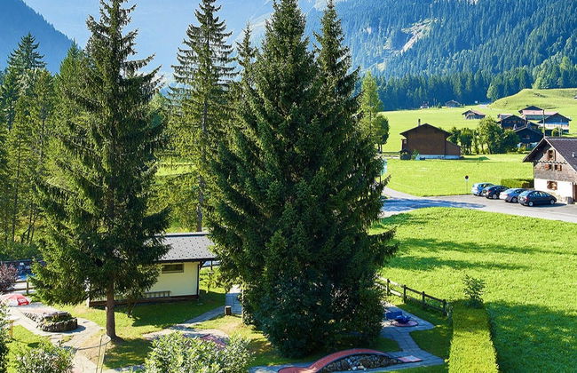Excursion aux Diablerets et à Montreux - Photo 9