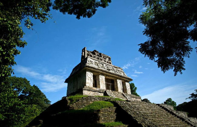 Entrada a la zona arqueológica de Palenque - Foto 6
