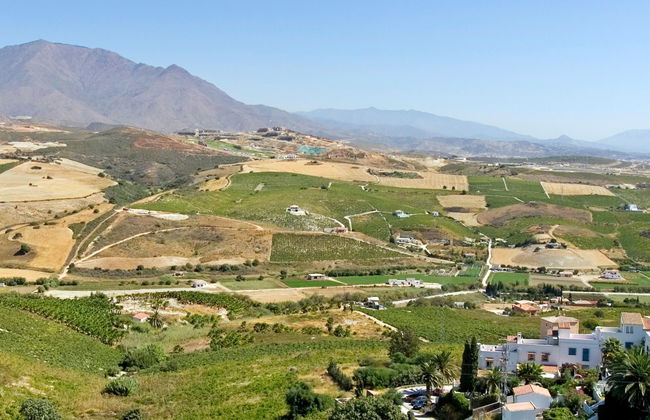Tour del vino a Manilva - Foto 8