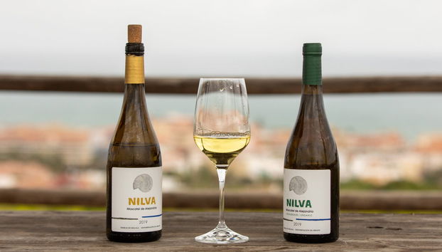 Tour del vino a Manilva - Foto 3