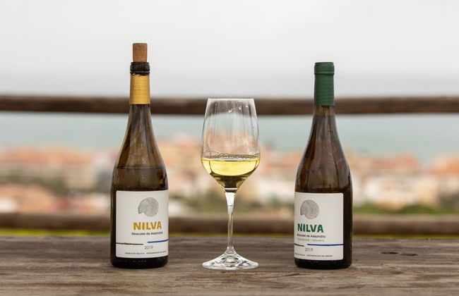 Tour del vino a Manilva - Foto 3