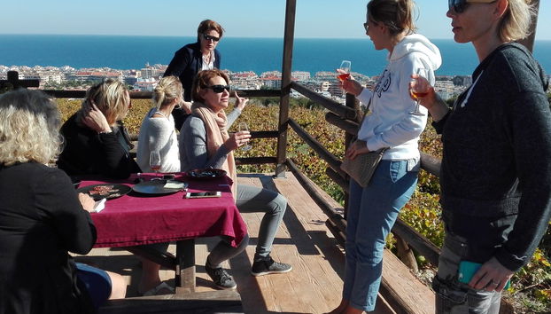 Tour del vino a Manilva - Foto 5