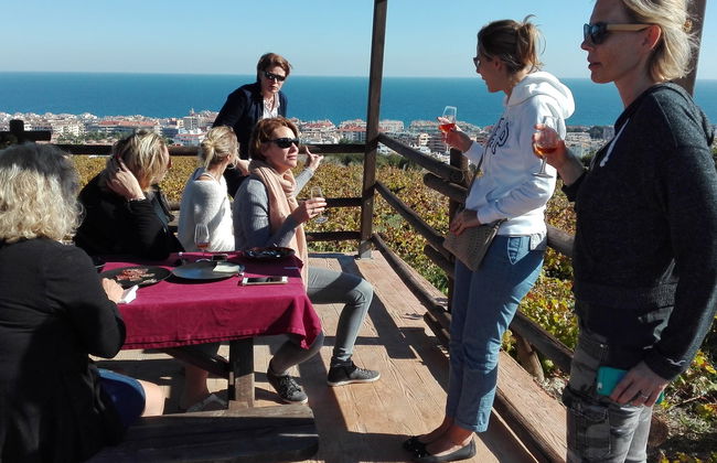 Tour del vino a Manilva - Foto 5