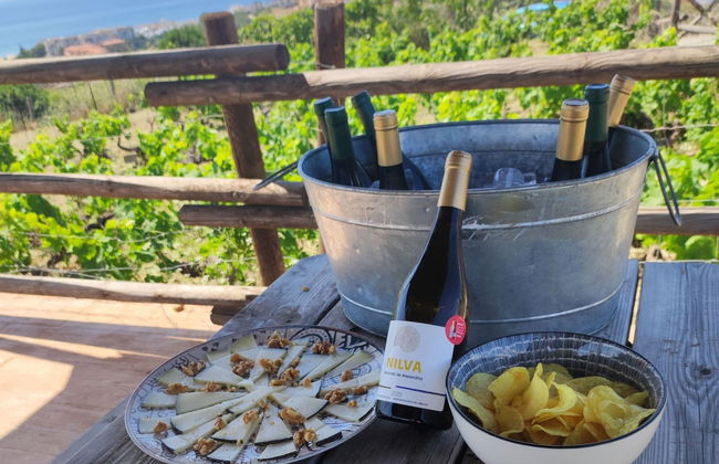 Tour del vino a Manilva - Foto 1