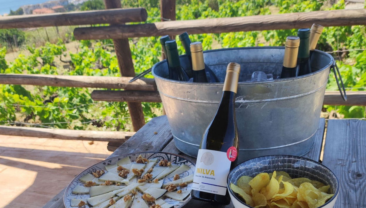 Tour del vino a Manilva - Foto 1