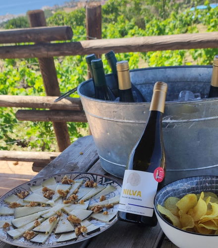 Foto - Tour del vino a Manilva