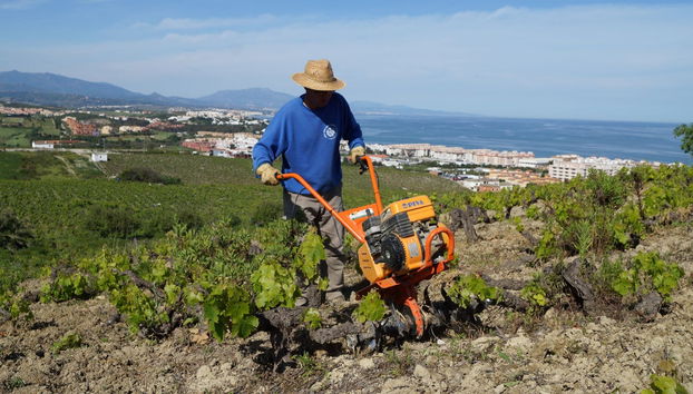 Tour del vino a Manilva - Foto 4