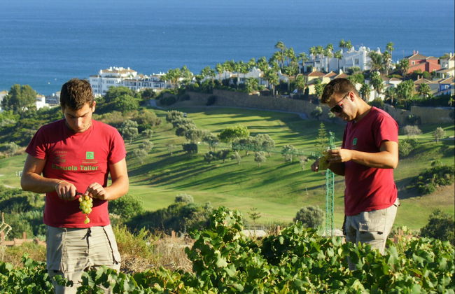 Tour del vino a Manilva - Foto 6