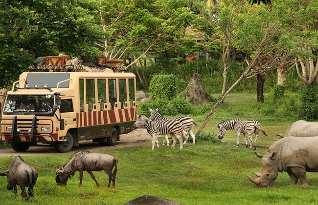 Bali Safari & Marine Park Tickets - Photo 2