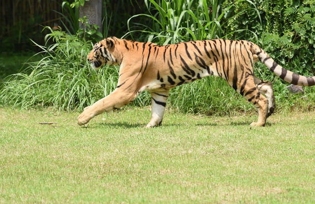 Entrada a Safari and Marine Park - Foto 5