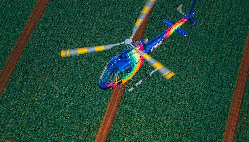 Explore las vistas ocultas de la isla - Tour en helicóptero - Foto 1