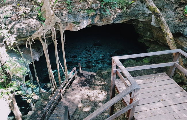 Uxmal & Hacienda Yaxcopoil Tour - Foto 8