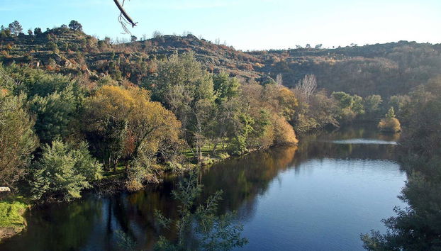 Mondego River Kayak Tour - Foto 2