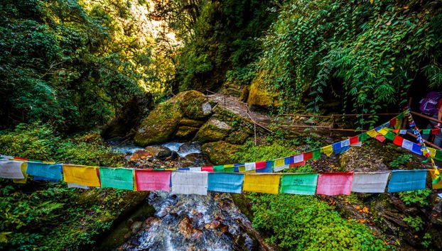 Poon Hill & Ghorepani 3 Day Hike - Photo 4