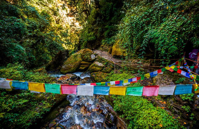 Poon Hill & Ghorepani 3 Day Hike - Photo 4