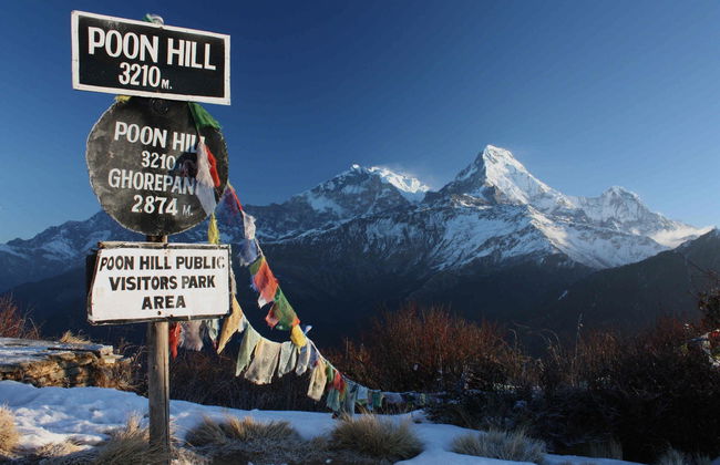 Poon Hill & Ghorepani 3 Day Hike - Photo 2