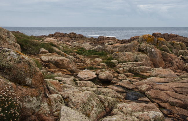Excursion sur la route des naufrages - Photo 3