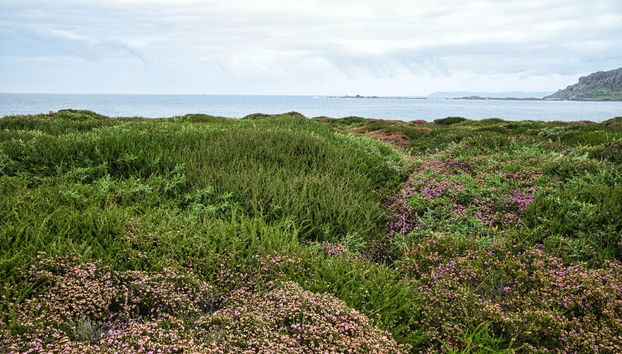 Tour por la Ruta de los Naufragios - Photo 5