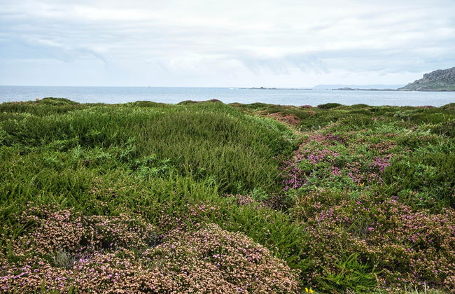 Tour por la Ruta de los Naufragios - Photo 5
