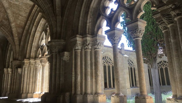 Visita guiada por Ciudad Rodrigo - Foto 5