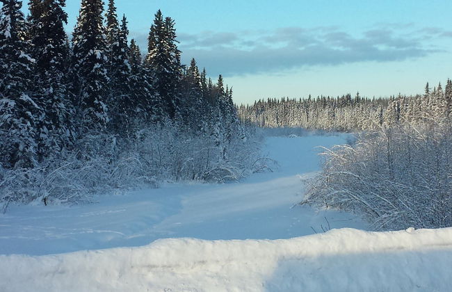 Paseo con raquetas de nieve por Fairbanks - Foto 5