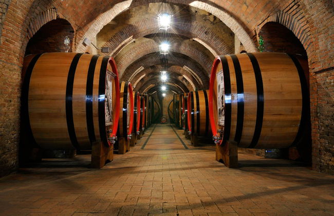 Montepulciano Wine Tasting Tour - Photo 1