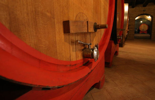 Montepulciano Wine Tasting Tour - Photo 6