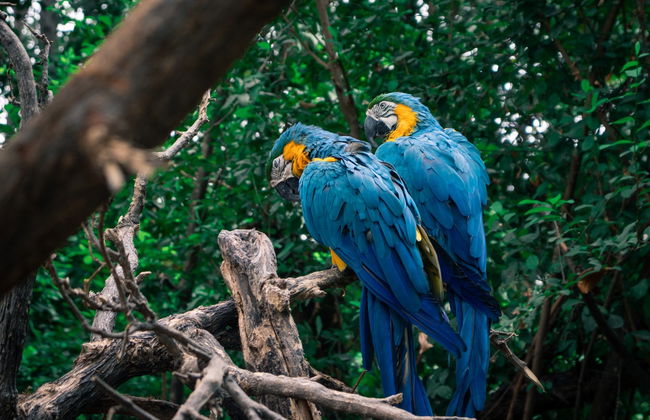 Cerro Blanco Forest Day Trip - Foto 6