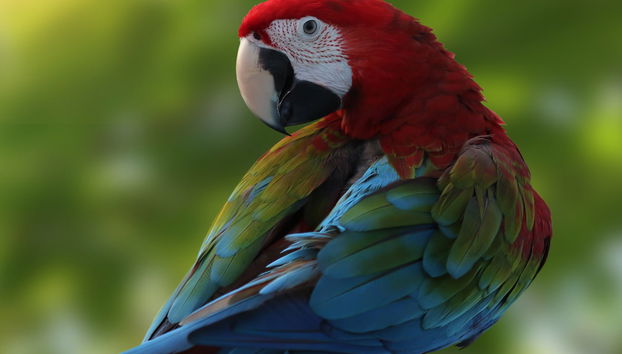 Cerro Blanco Forest Day Trip - Foto 5