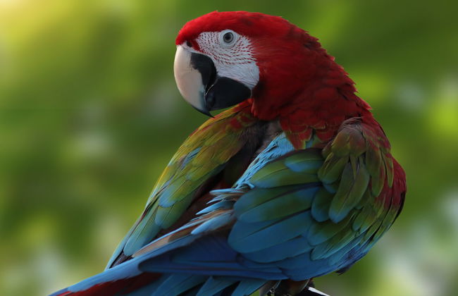 Cerro Blanco Forest Day Trip - Foto 5