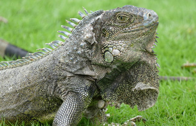 Cerro Blanco Forest Day Trip - Foto 7