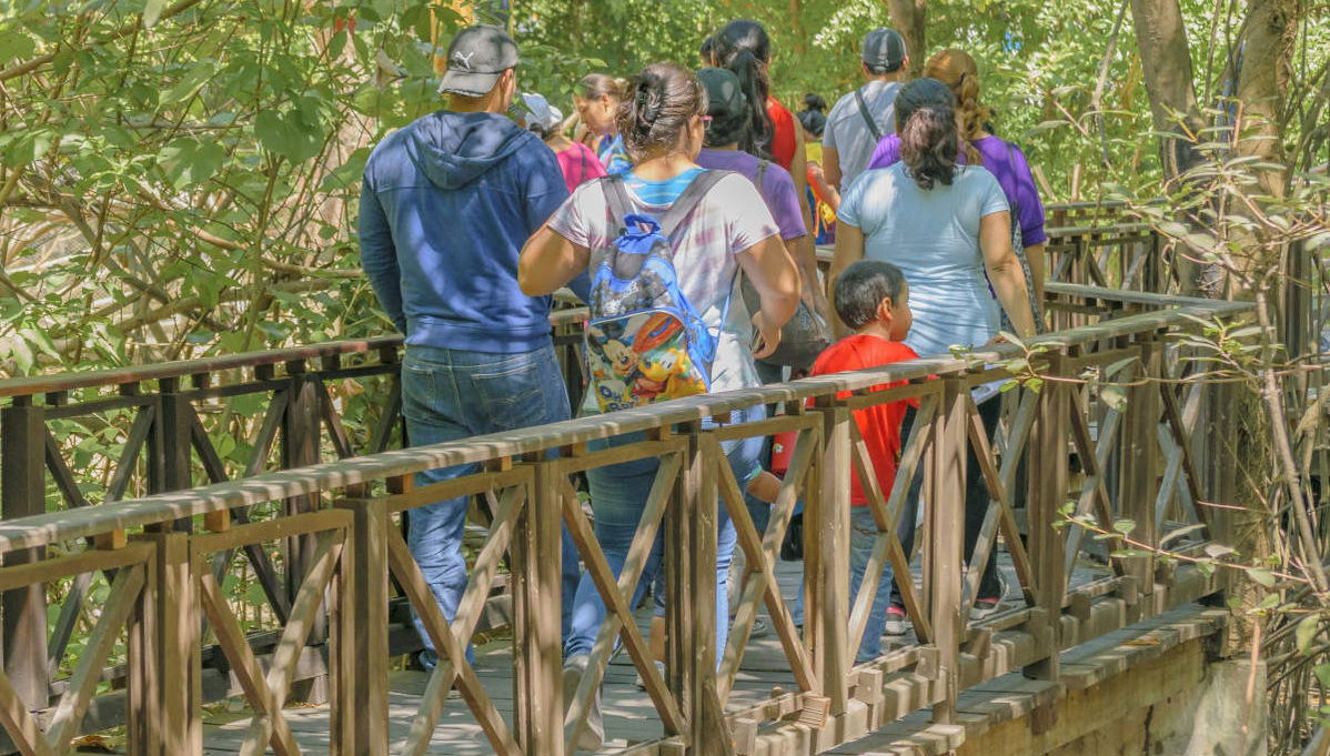 Cerro Blanco Forest Day Trip - Foto 1