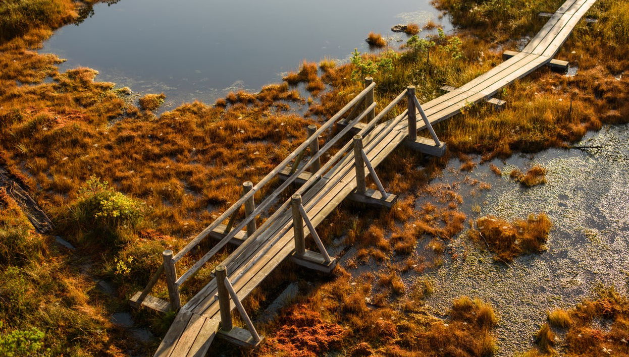 Excursión al Parque Nacional de Kemeri y Jürmala - Foto 1