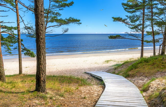 Kemeri National Park + Jürmala Day Trip - Photo 5